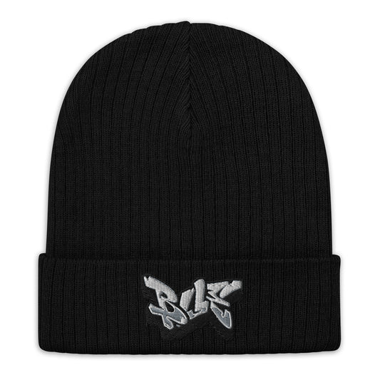 Embroidered Ribbed Knit Beanie
